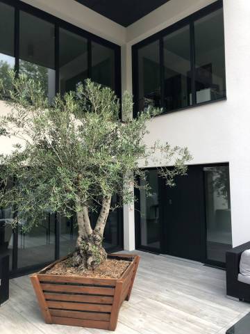 Fenêtres en aluminium